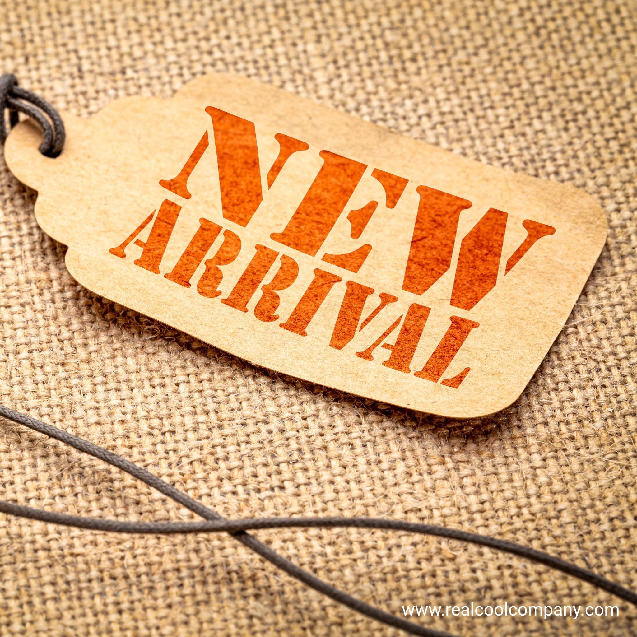 New Western & Pet Lover Designs