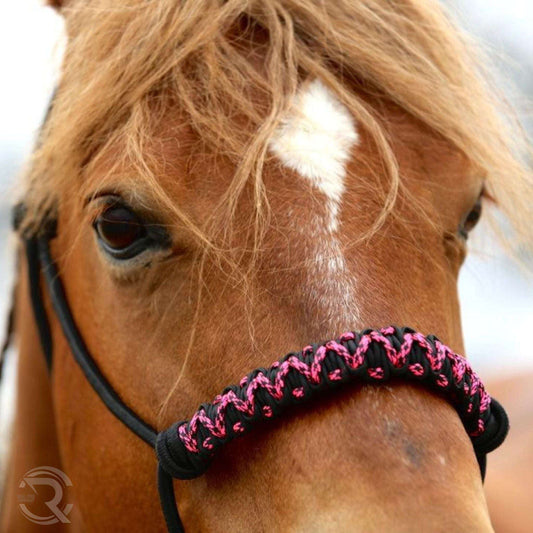 Close-up front view of a horse wearing a rope halter with pink and black pattern 